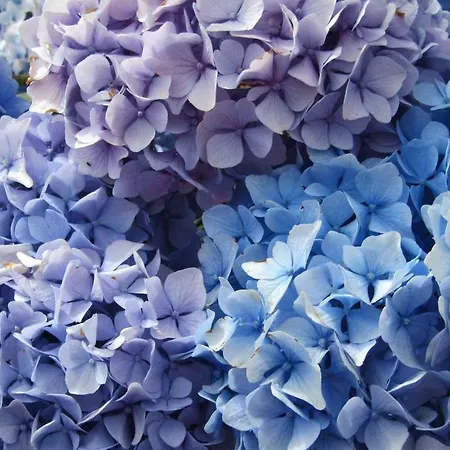 Ruhwarder Muehle بيت ضيافة